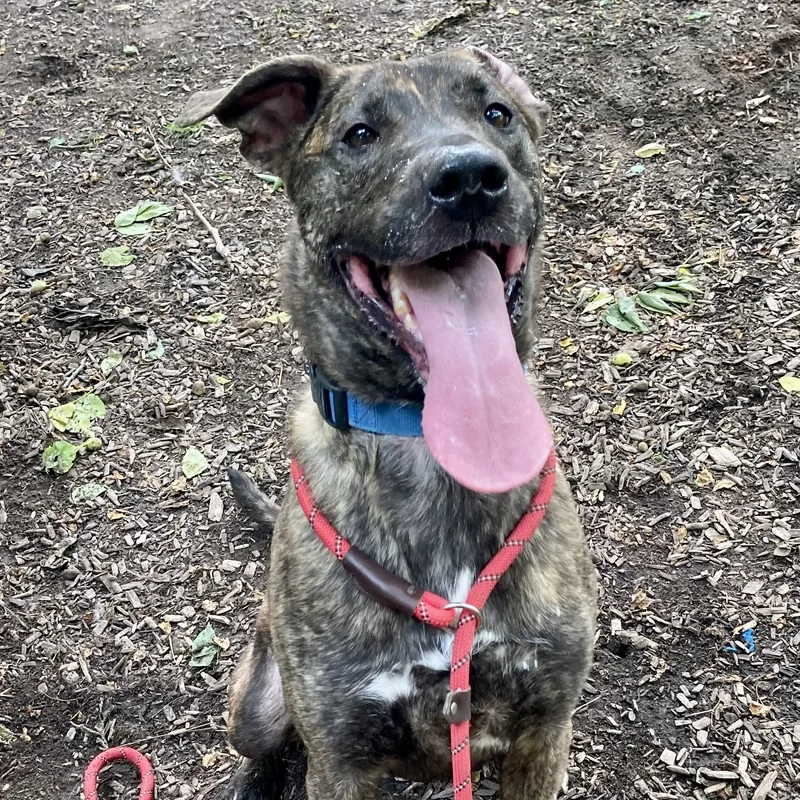 Charlotte thumbnail 2