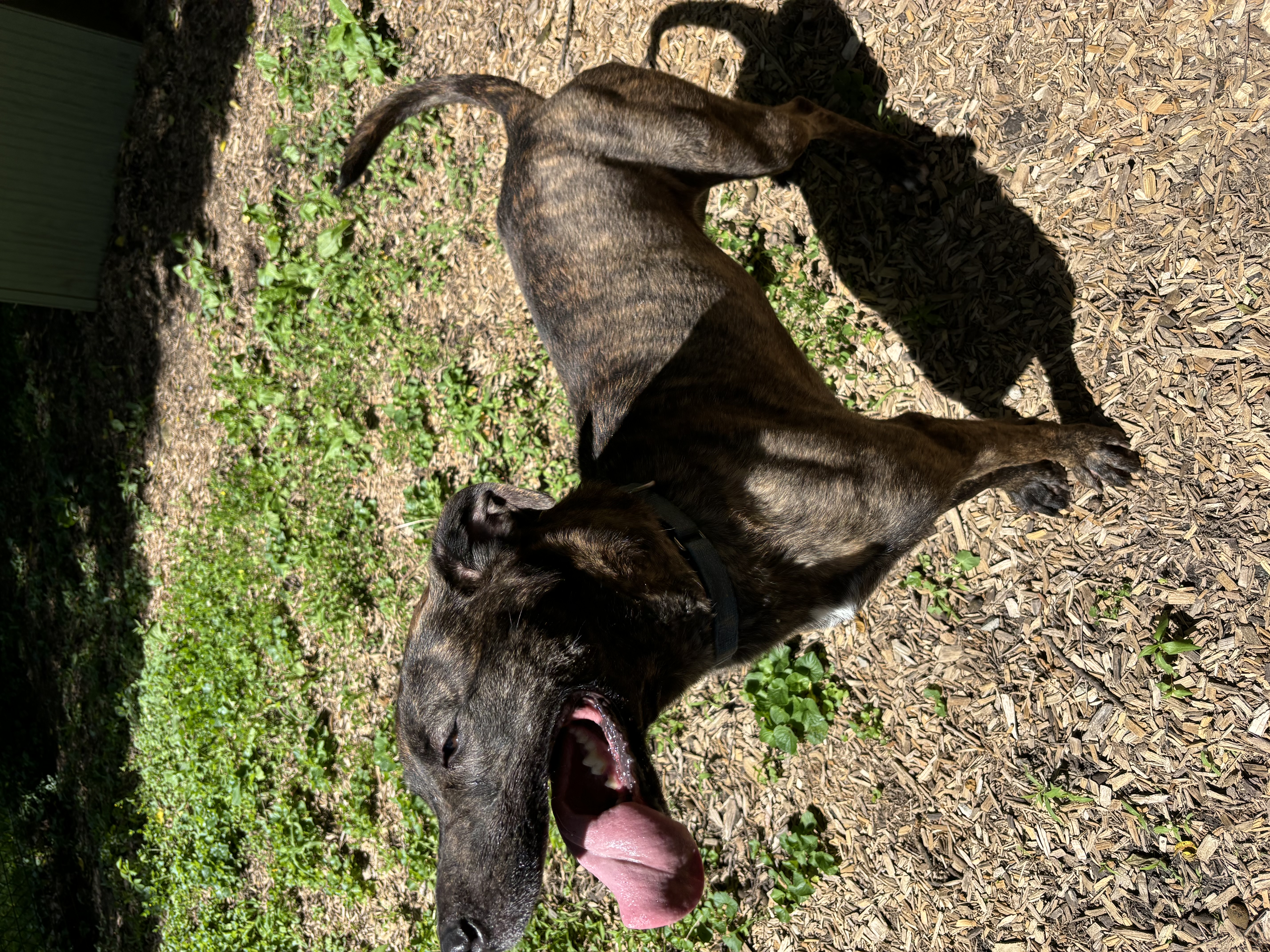 Charlotte thumbnail 3