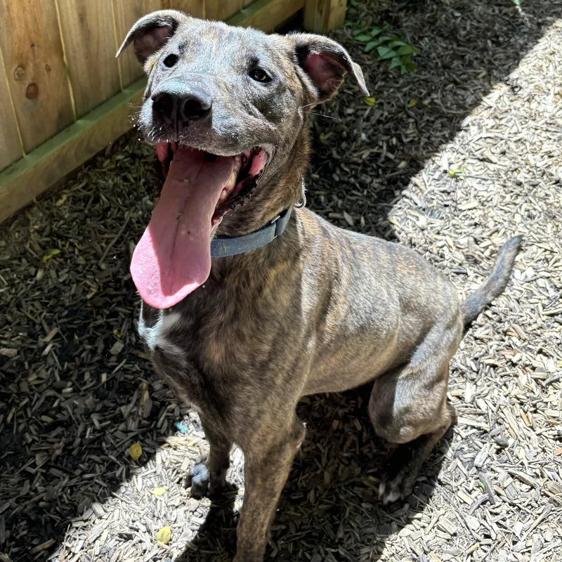 Charlotte thumbnail 5