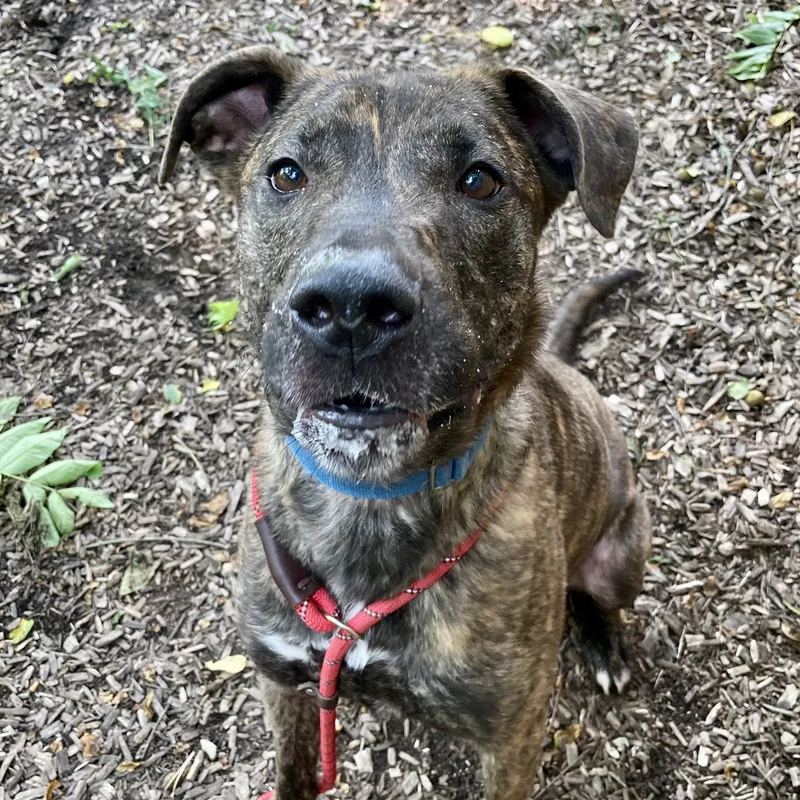 Charlotte thumbnail 6