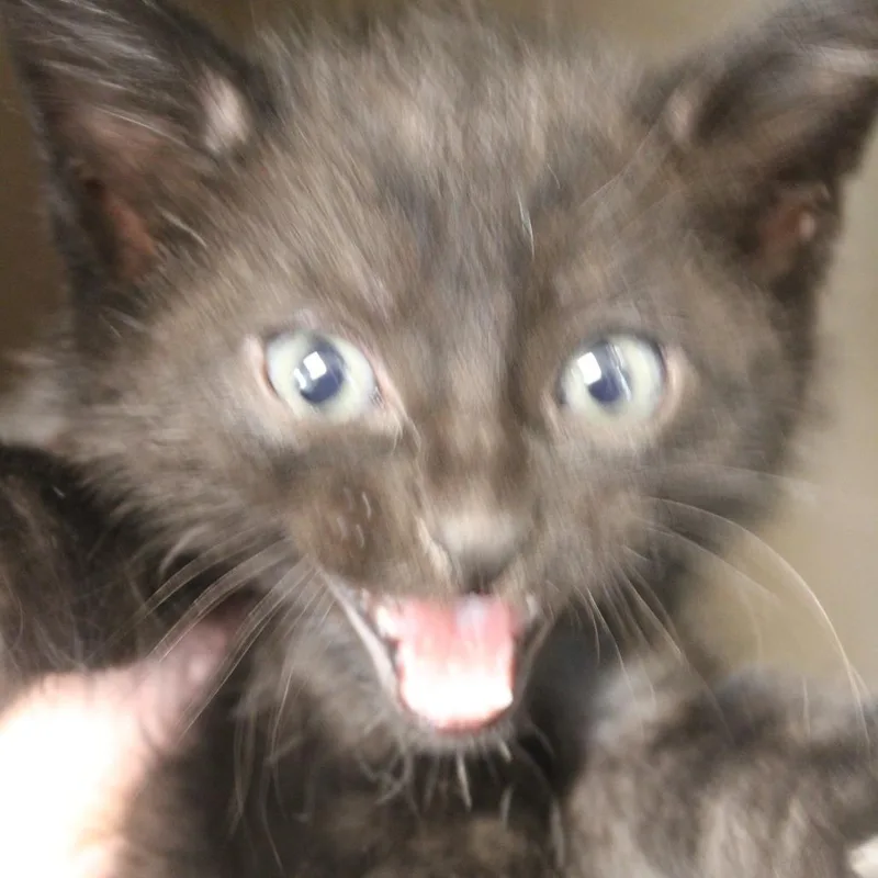 Jackpot thumbnail 2