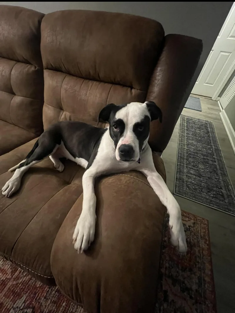 Winnefred thumbnail 2