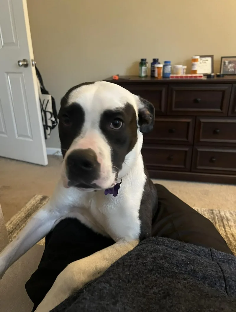 Winnefred thumbnail 3