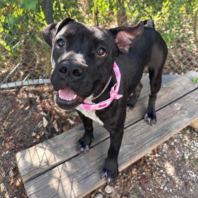 Magda thumbnail 2
