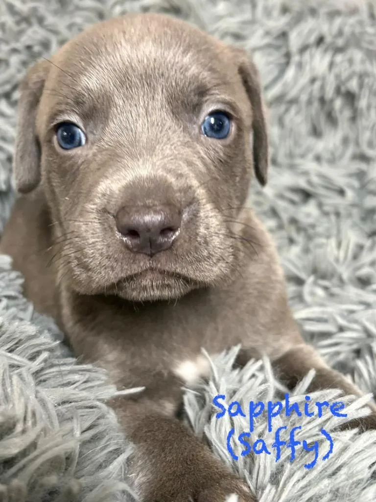 Sapphire