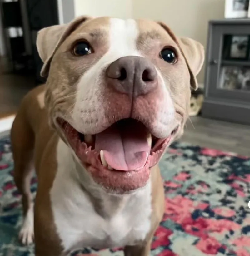 Heather Locklear thumbnail 5