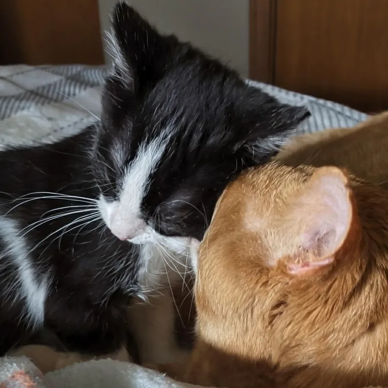 Leroy Best friends with thumbnail 5