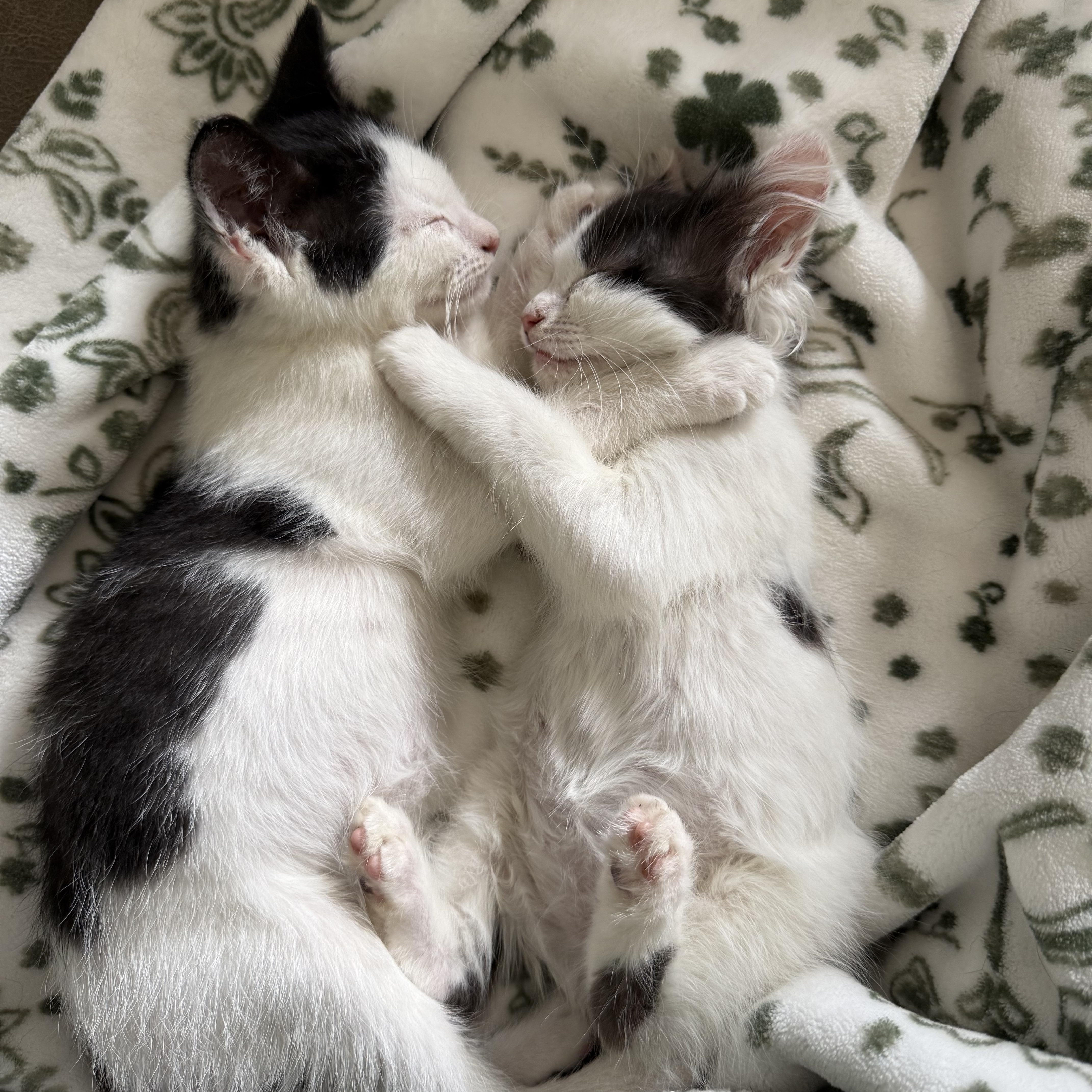 Waylon and Jenny thumbnail 2