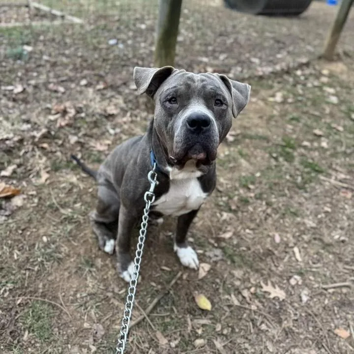 Hamilton thumbnail 5