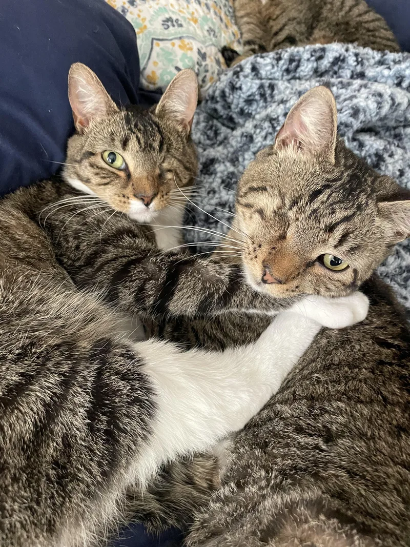 Little Boy & Little thumbnail 3