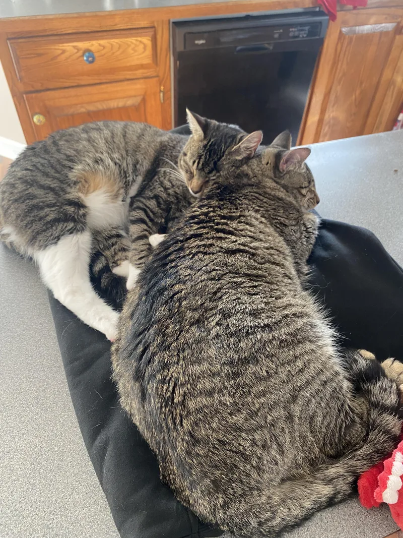 Little Boy & Little thumbnail 4