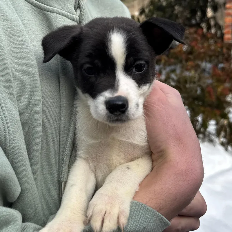 Ny Prairie Mar thumbnail 2