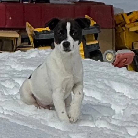 Ny Prairie Mar thumbnail 3