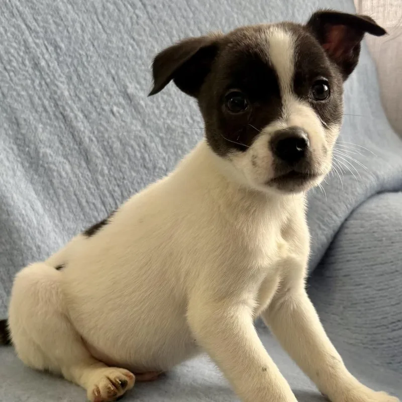 Ny Prairie Mar thumbnail 4