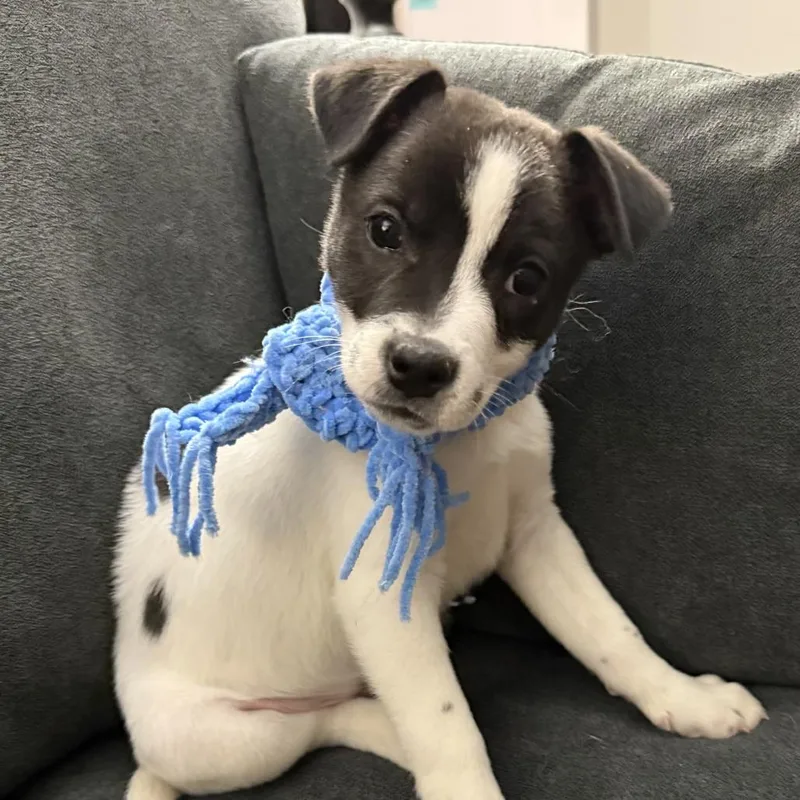 Ny Prairie Mar thumbnail 5