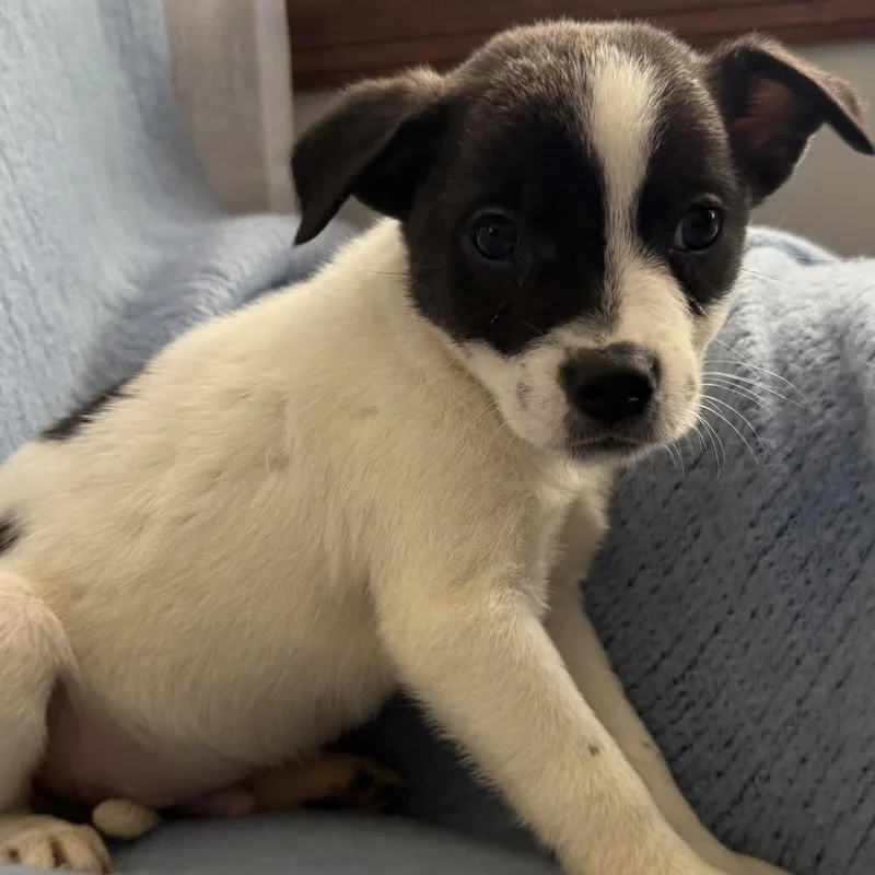 Ny Prairie Mar thumbnail 6