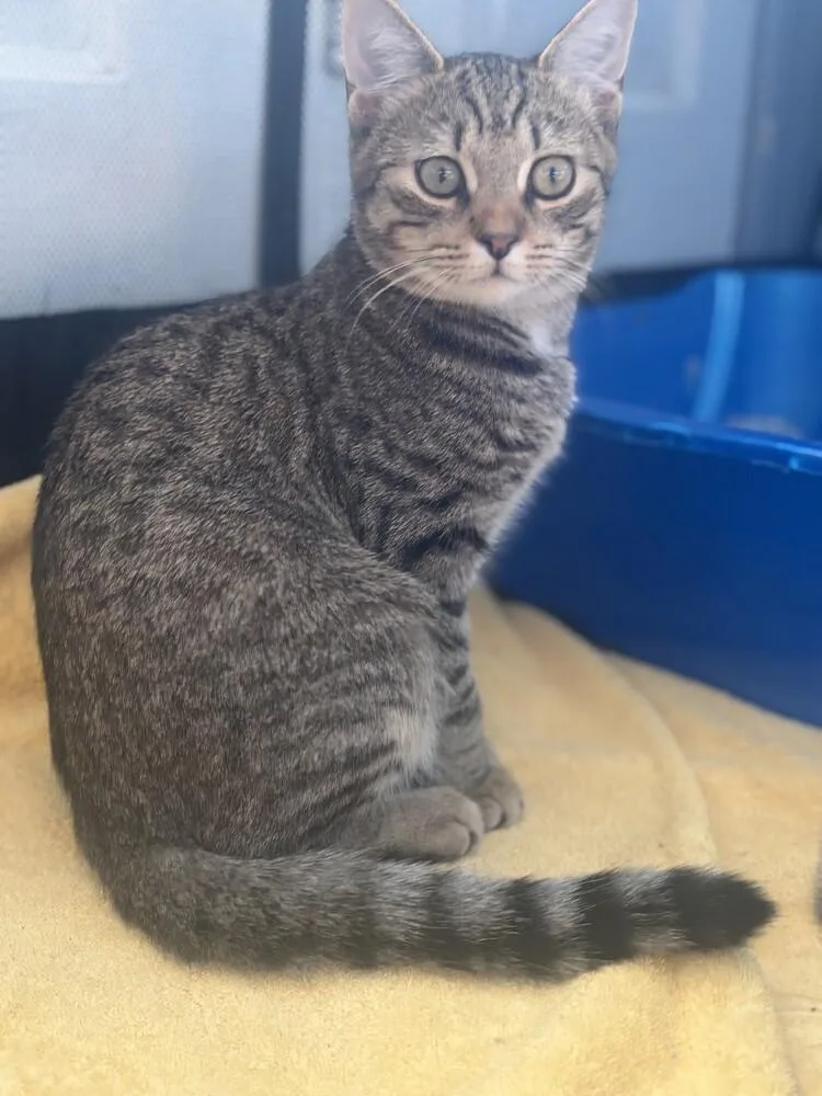 Emilio Estevez thumbnail 3