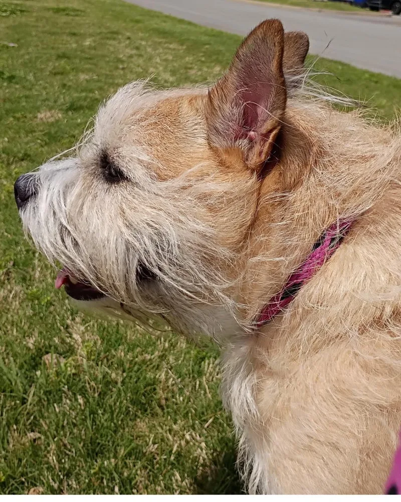 Bonnie & Clyde  thumbnail 2