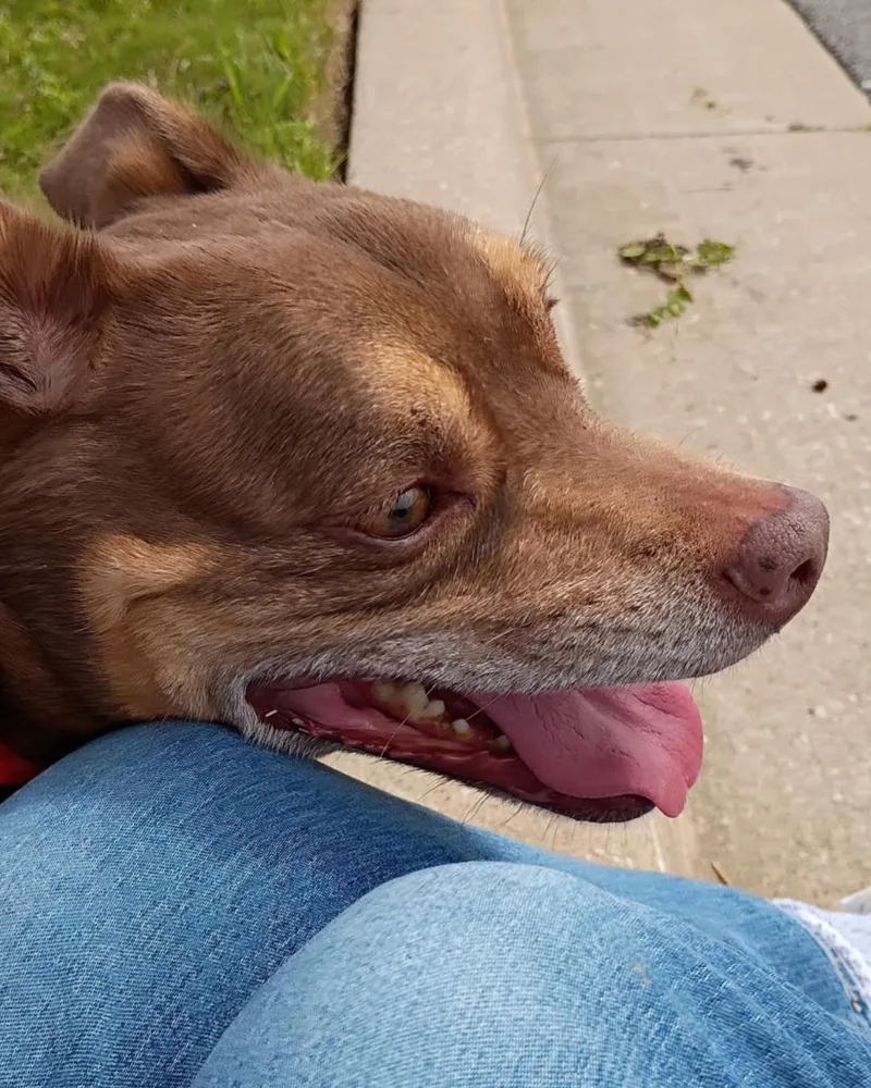 Bonnie & Clyde  thumbnail 3