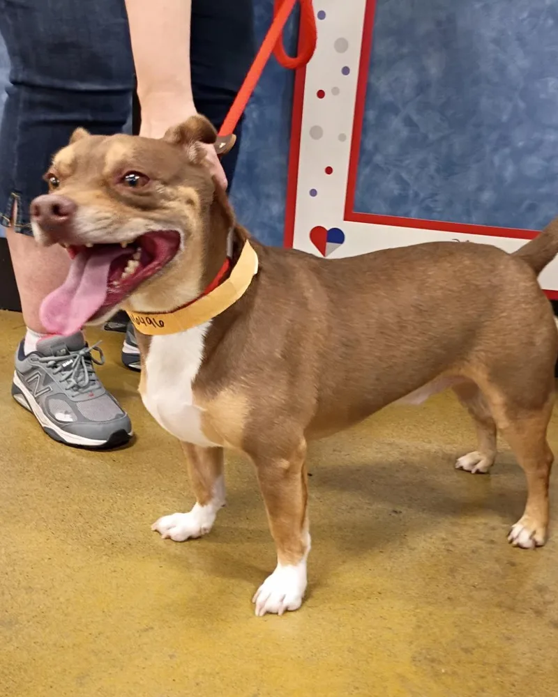 Bonnie & Clyde  thumbnail 4