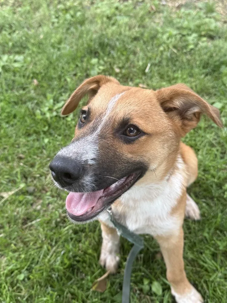 Cy  Cypress  thumbnail 3