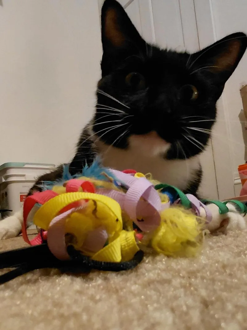 Greta Stauffer thumbnail 2