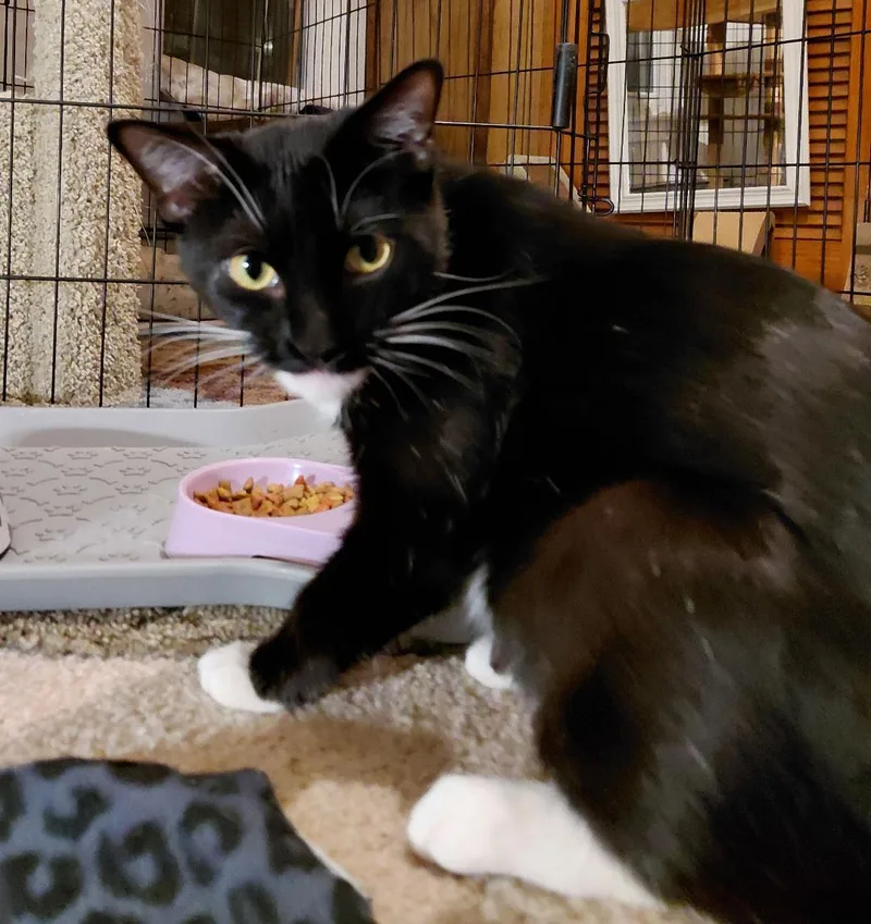 Greta Stauffer thumbnail 3