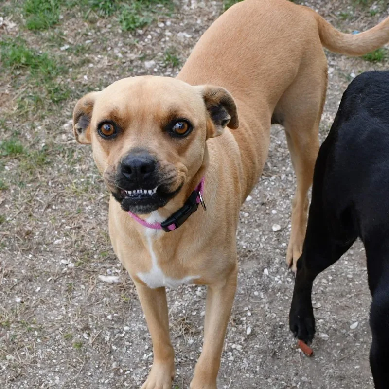 Gracey A thumbnail 2