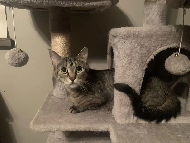 Maggie thumbnail 3