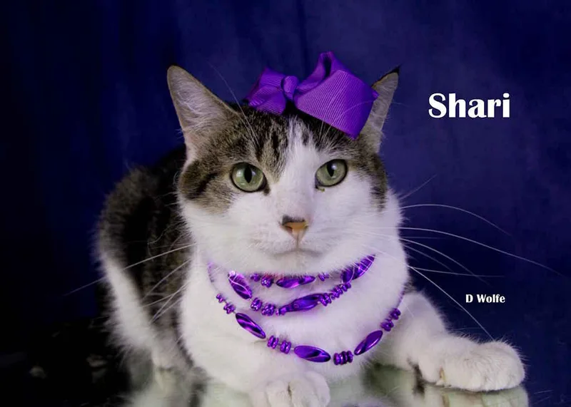 Shari thumbnail 2