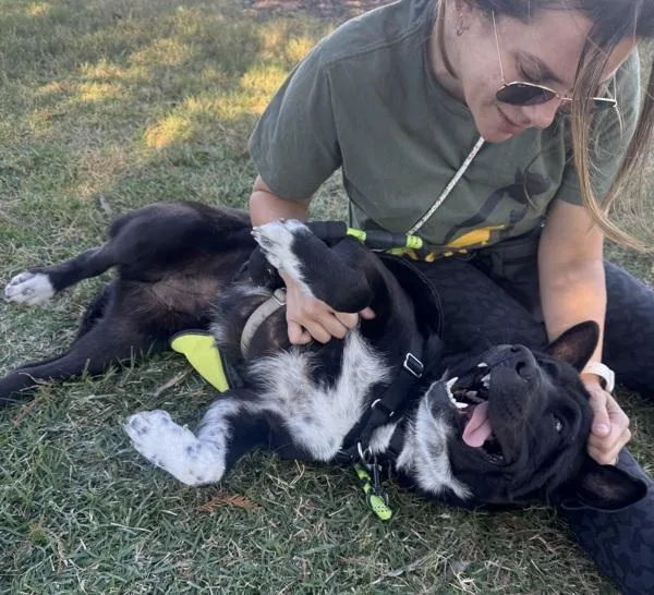 Cornelia thumbnail 2