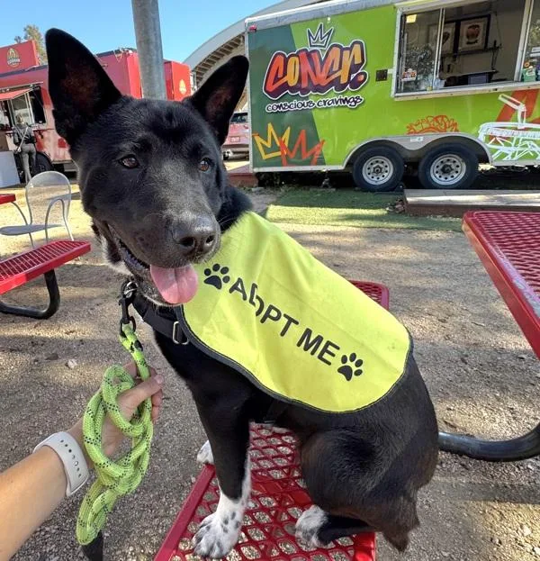 Cornelia thumbnail 5