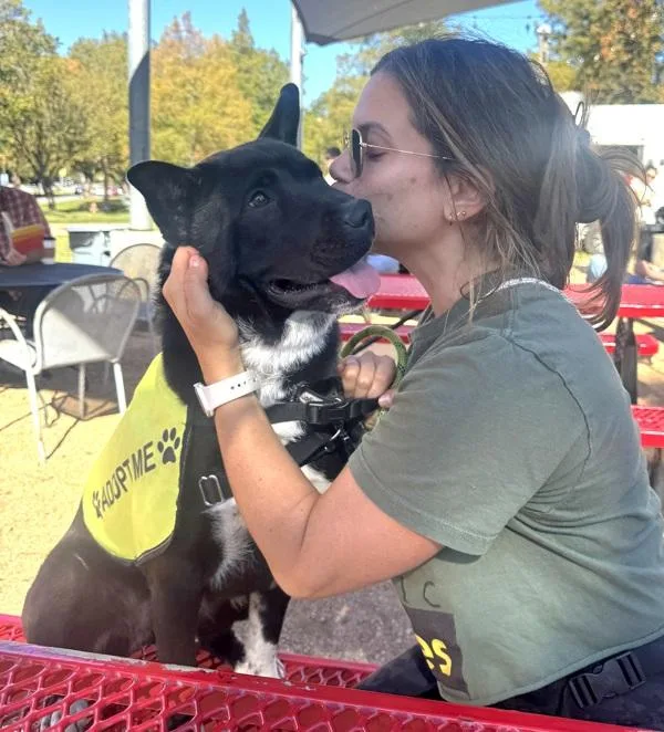 Cornelia thumbnail 6