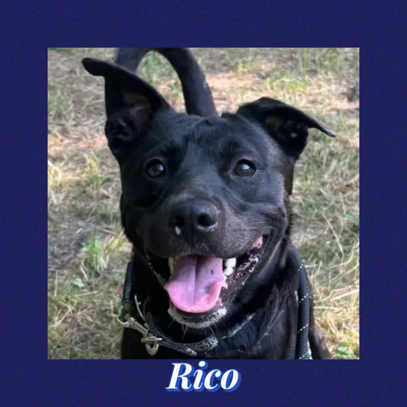 Rico
