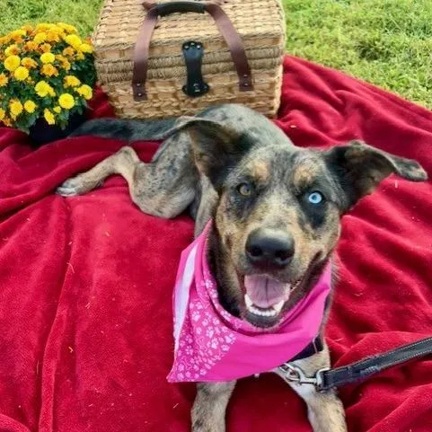 Nancy Pp thumbnail 2