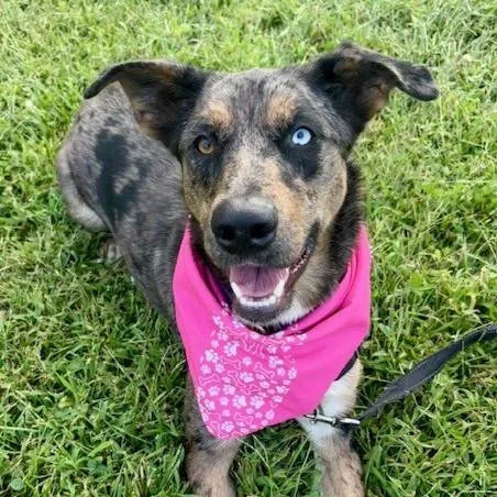 Nancy Pp thumbnail 3