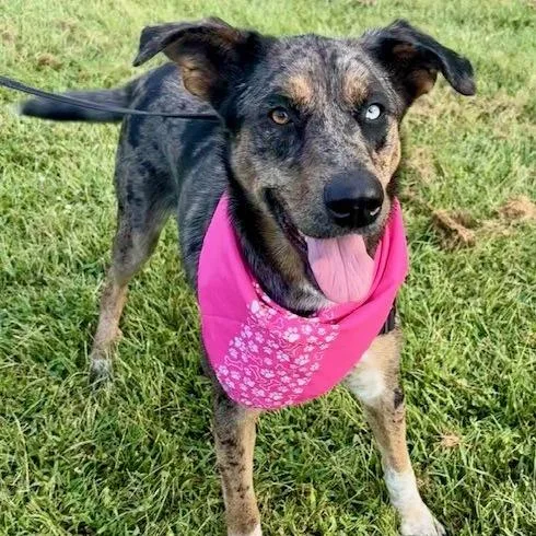 Nancy Pp thumbnail 4