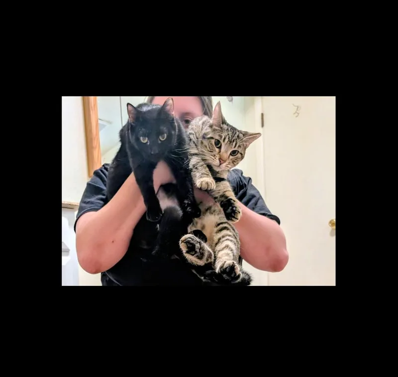 Tirzah And Ignacio thumbnail 6