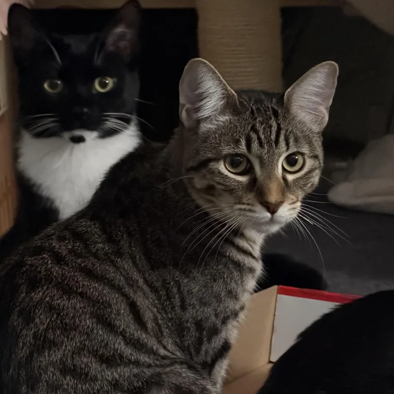 Sailor& Reign thumbnail 2