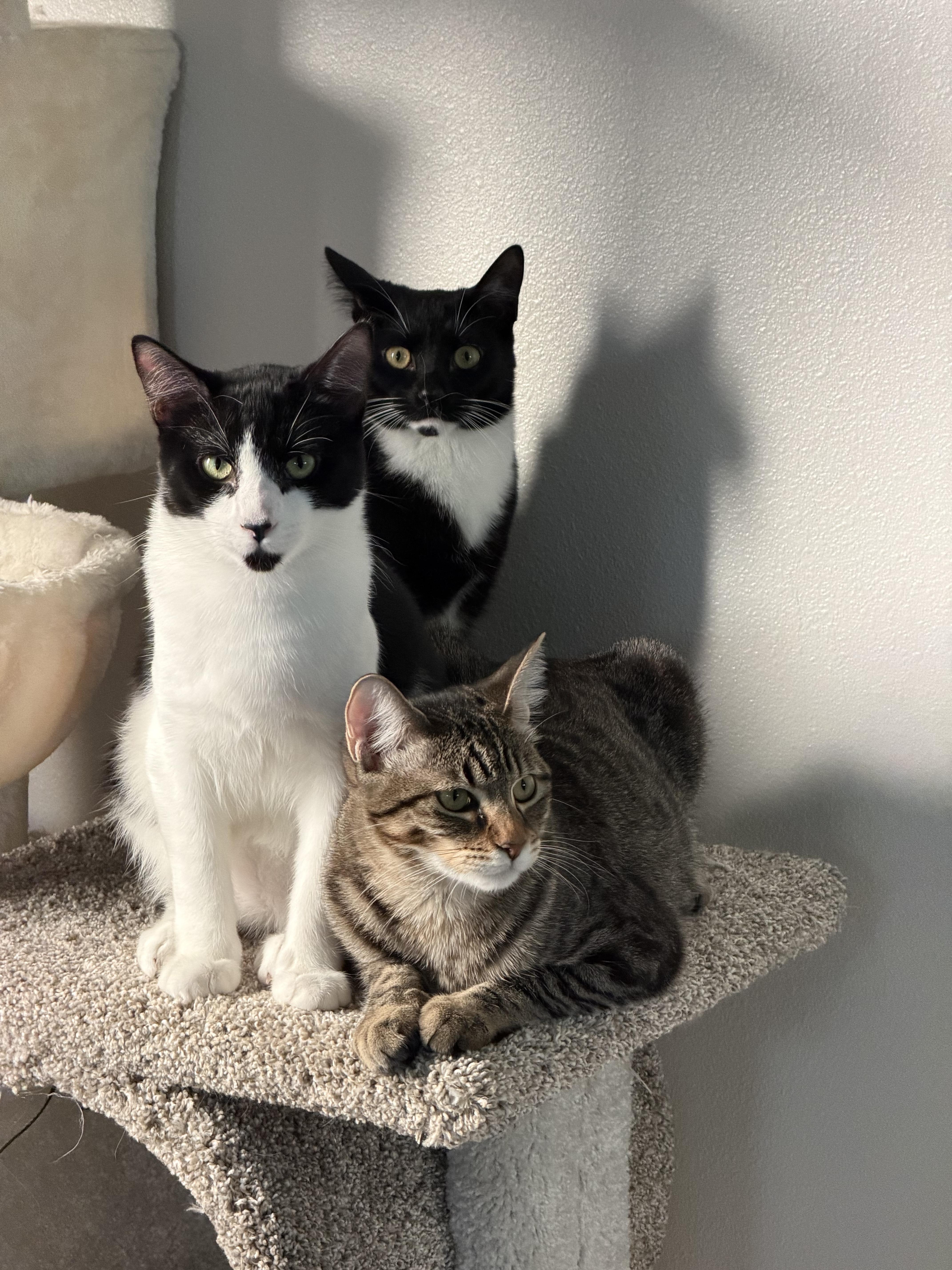 Sailor& Reign thumbnail 3