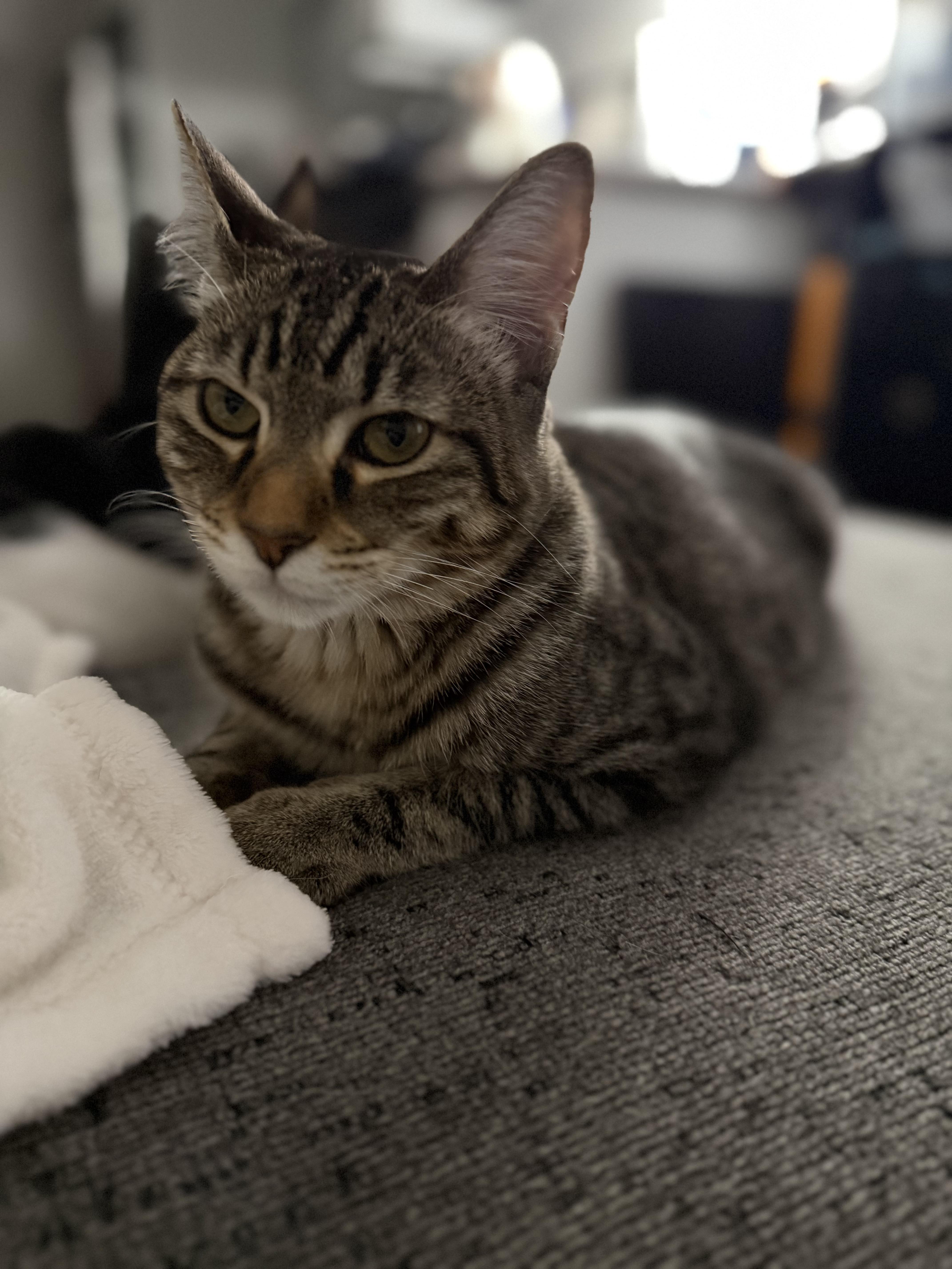 Sailor& Reign thumbnail 4