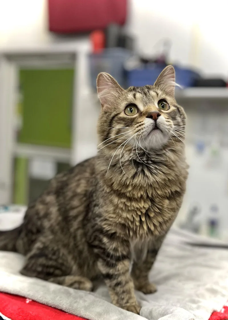 Smuckers thumbnail 2