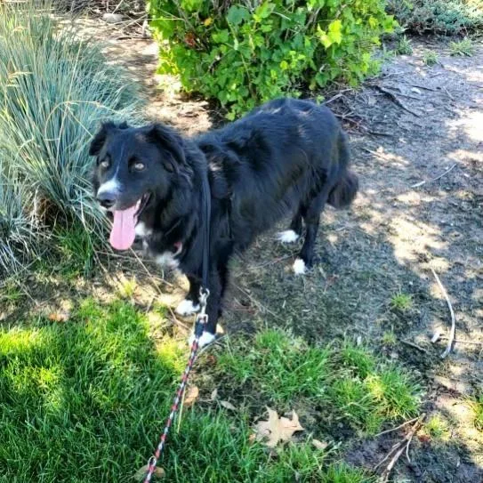 Ogallala thumbnail 3