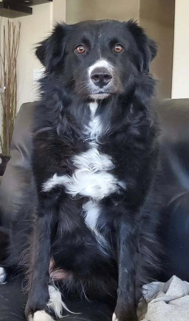 Ogallala thumbnail 4