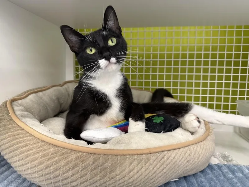 Rochelle thumbnail 2