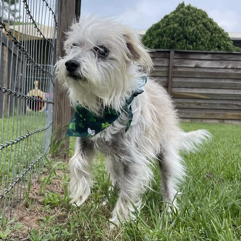 Howard Jones thumbnail 2