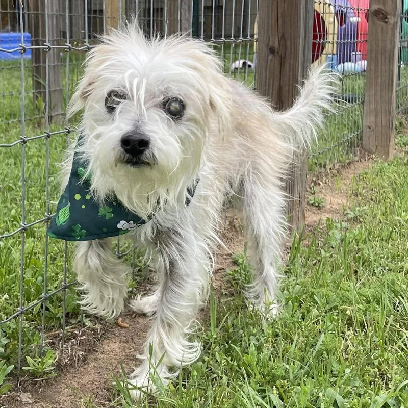 Howard Jones thumbnail 4