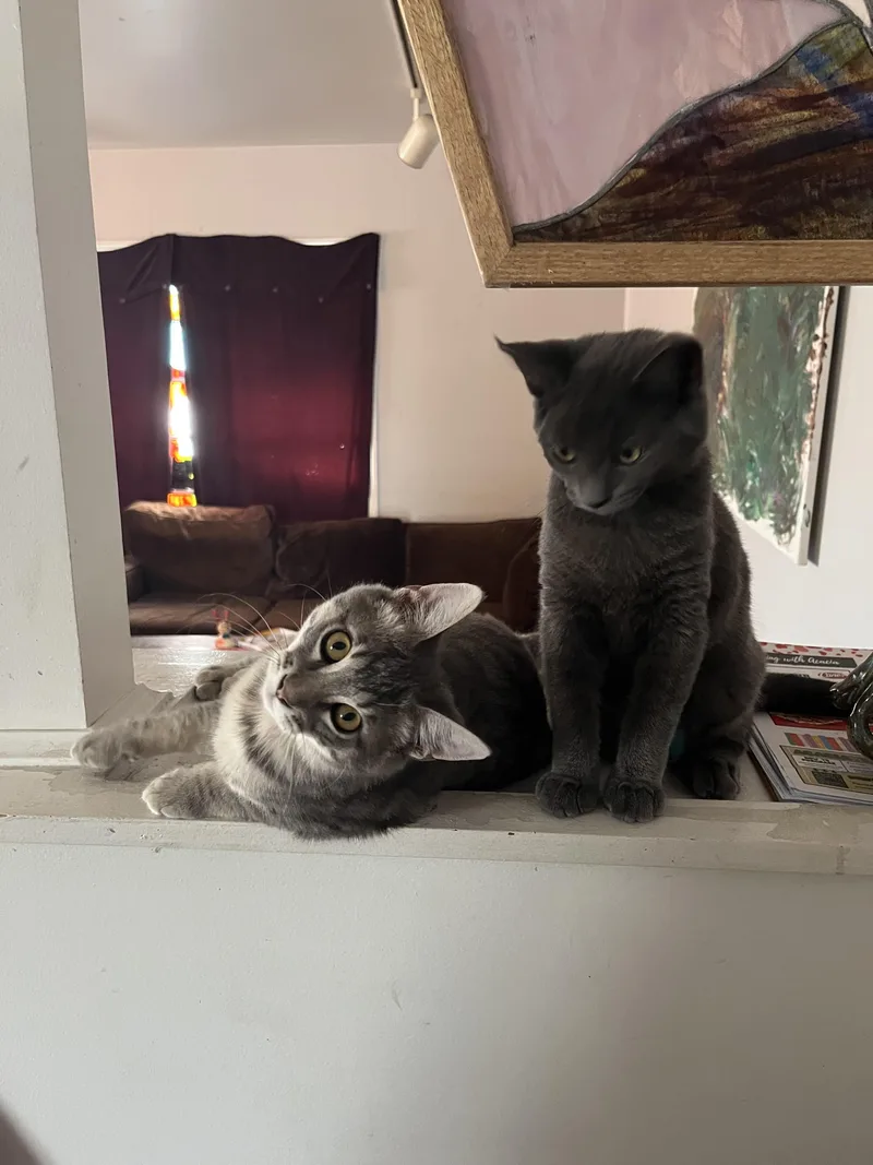 Frankie And Johnny thumbnail 3