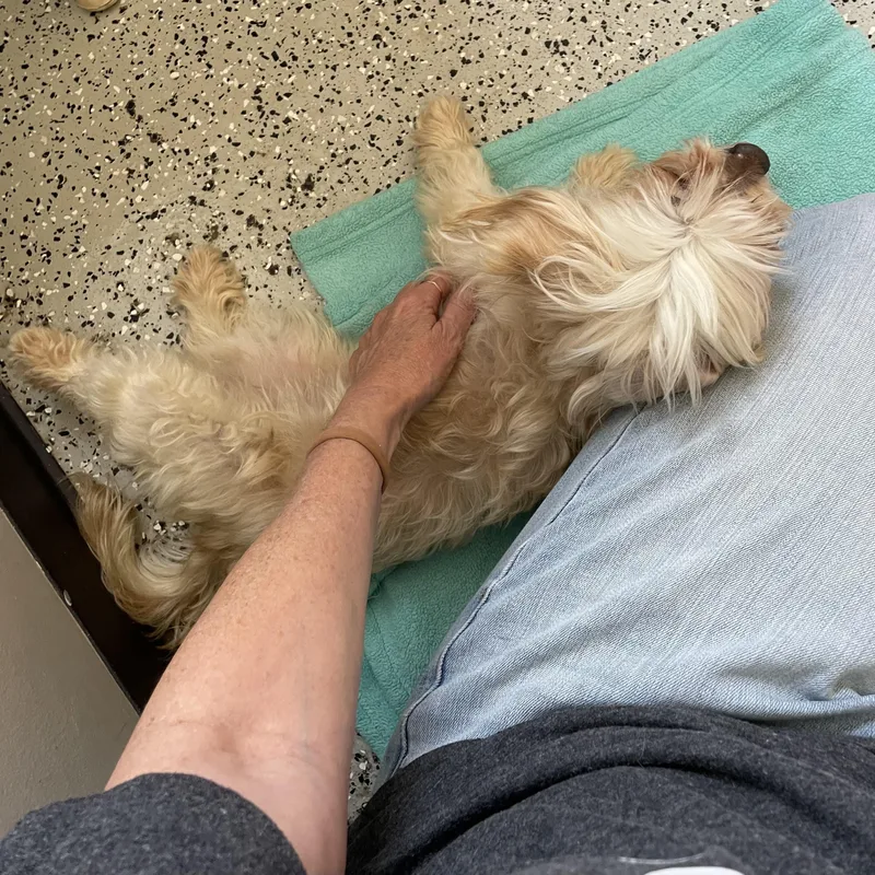 Maggie thumbnail 3