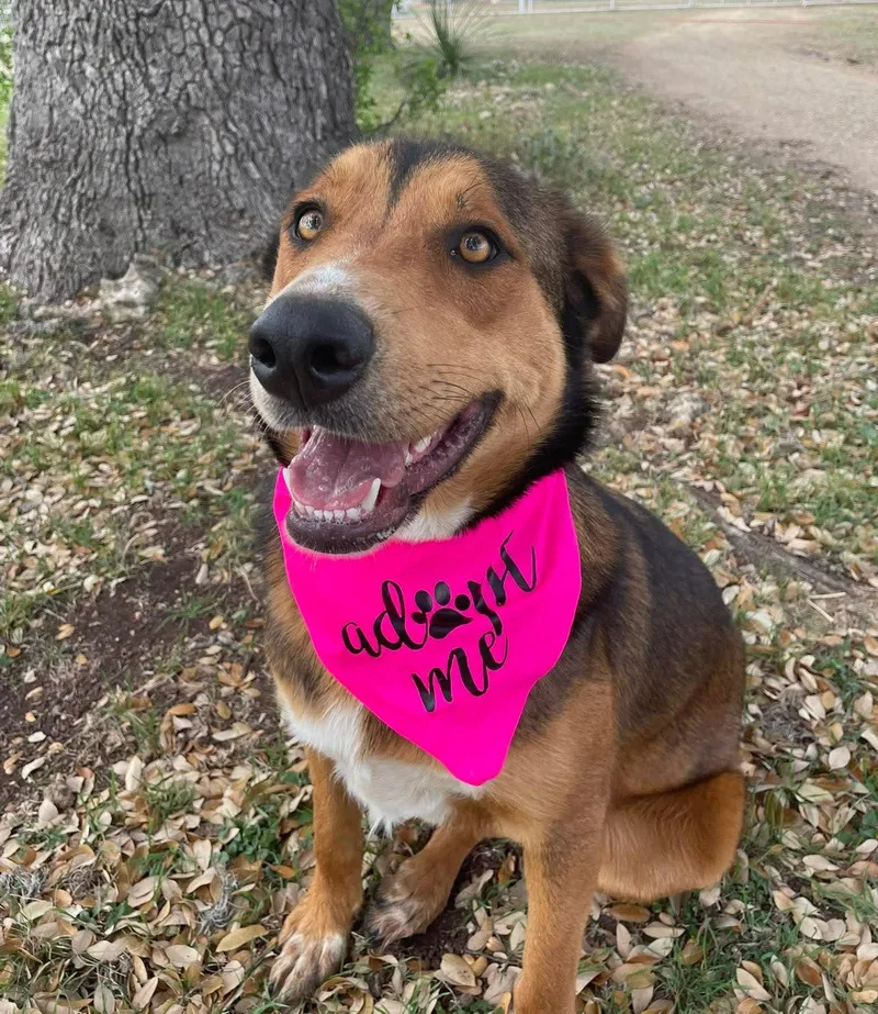 Cindylou thumbnail 2